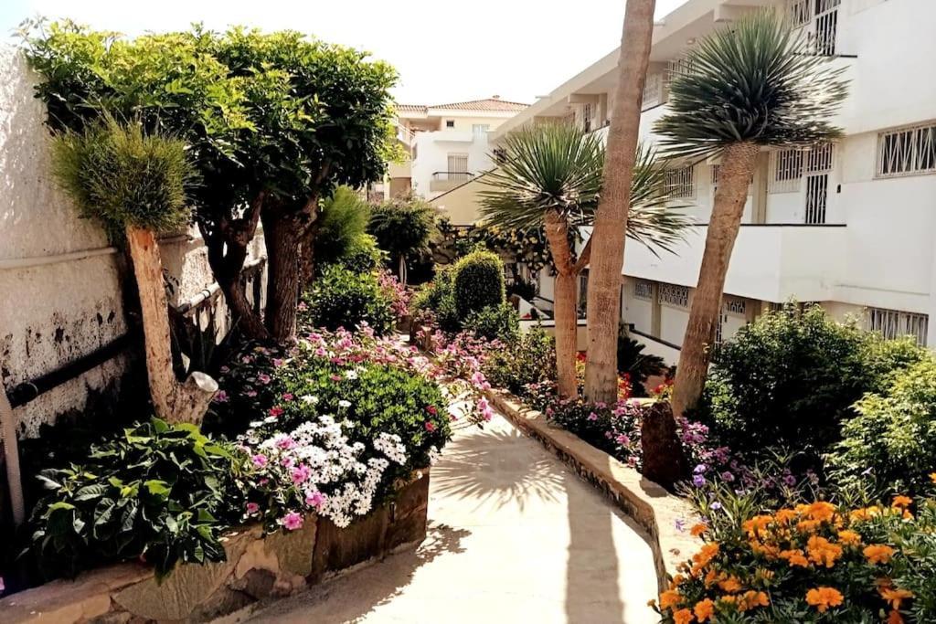 Apartment With Large Terrace, 10 Meters From Playa De Las Burras San Bartolomé Εξωτερικό φωτογραφία